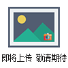 前列腺癌細胞 Lncap細胞